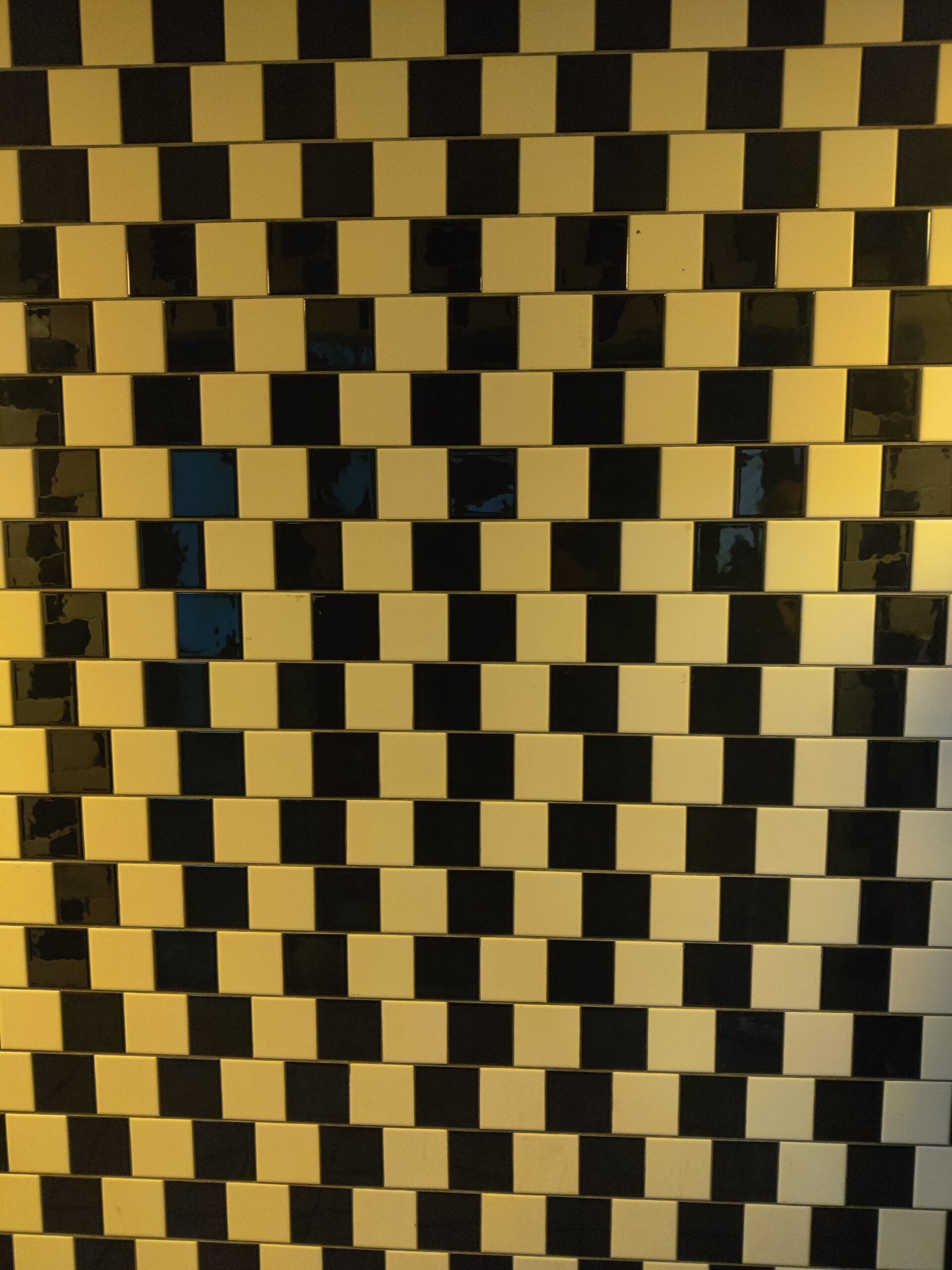 Palace of Fine Arts bathroom tile Café wall illusion